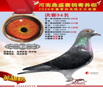 2026鼎盛春季赛决赛排位第34名