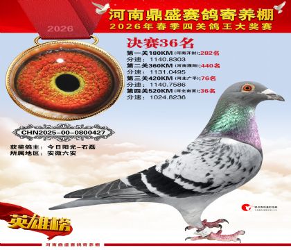 2026鼎盛春季赛决赛排位第36名