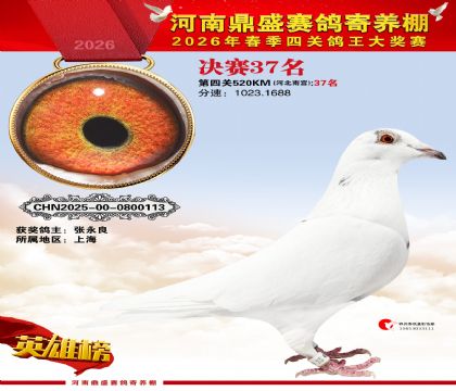 2026鼎盛春季赛决赛排位第37名