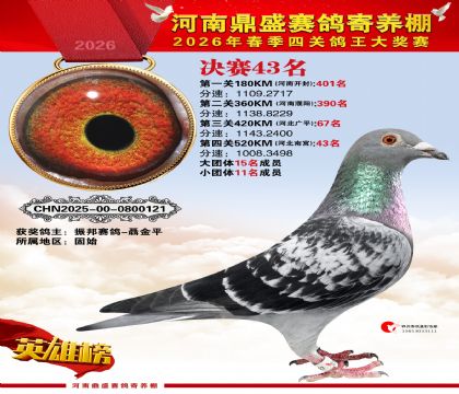 2026鼎盛春季赛决赛排位第43名