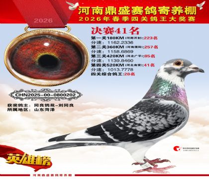 2026鼎盛春季赛决赛排位第41名