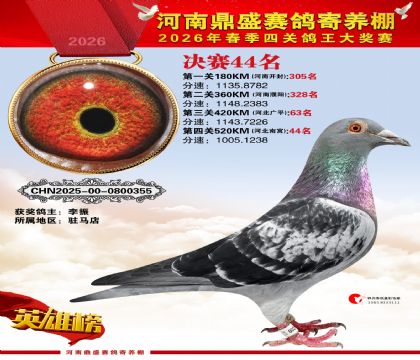 2026鼎盛春季赛决赛排位第44名