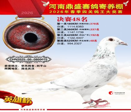 2026鼎盛春季赛决赛排位第48名