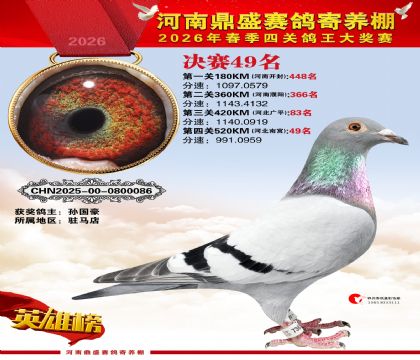 2026鼎盛春季赛决赛排位第49名