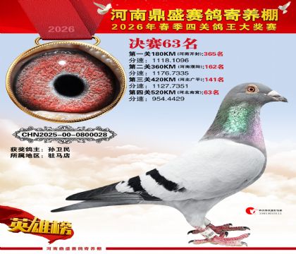 2026鼎盛春季赛决赛排位第63名