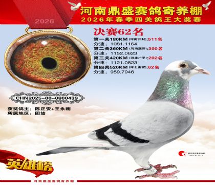 2026鼎盛春季赛决赛排位第62名