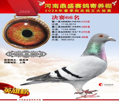 2026鼎盛春季赛决赛排位第66名