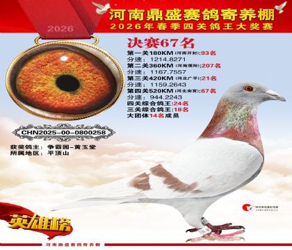 2026鼎盛春季赛决赛排位第67名