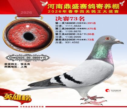 2026鼎盛春季赛决赛排位第73名