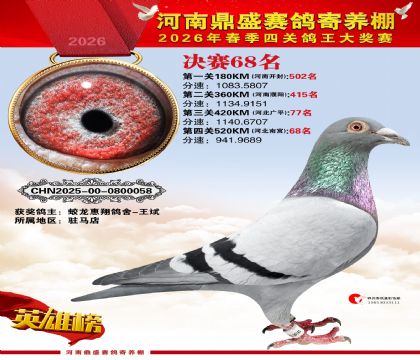 2026鼎盛春季赛决赛排位第68名