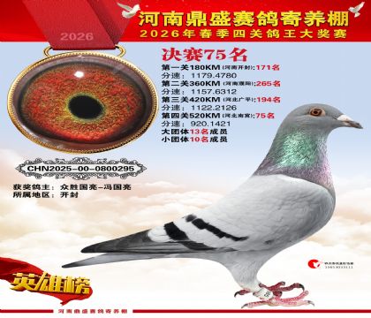 2026鼎盛春季赛决赛排位第75名