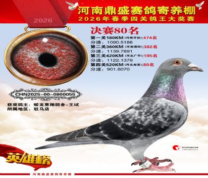 2026鼎盛春季赛决赛排位第80名