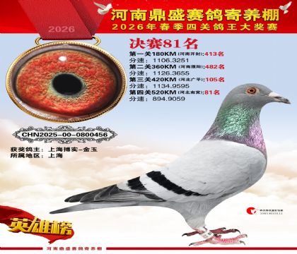 2026鼎盛春季赛决赛排位第81名