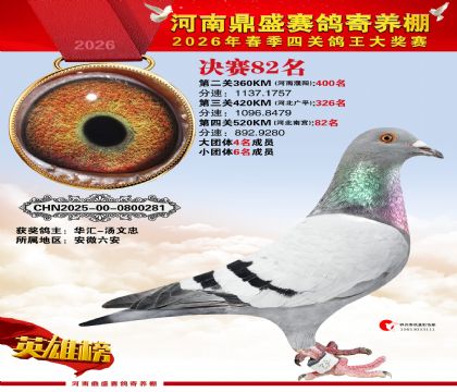 2026鼎盛春季赛决赛排位第82名