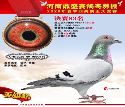 2026鼎盛春季赛决赛排位第83名