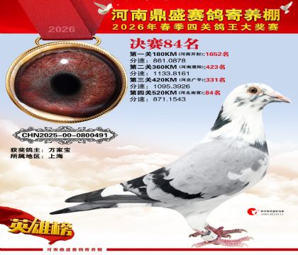 2026鼎盛春季赛决赛排位第84名