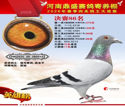 2026鼎盛春季赛决赛排位第86名