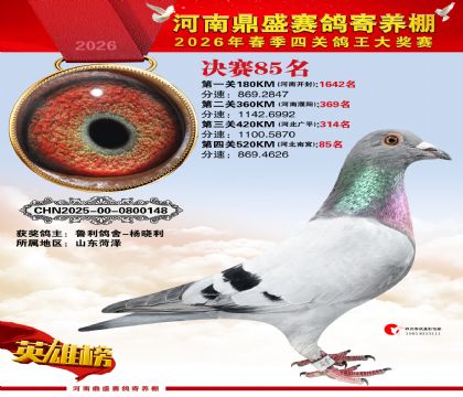 2026鼎盛春季赛决赛排位第85名