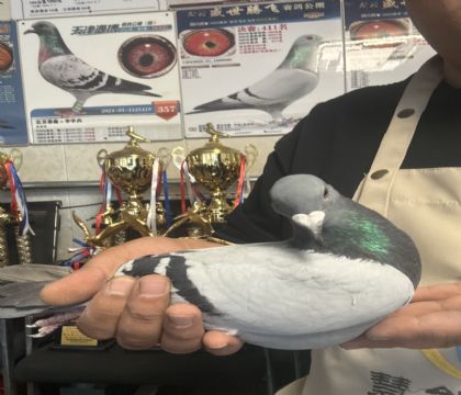 8.�����ָ�814