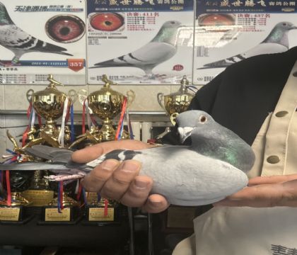 11.����230��