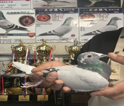 12.�����ָ�563