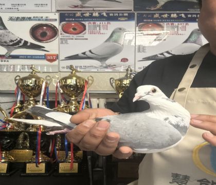 14.�����ָ�155