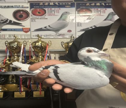 15.�����ָ�614