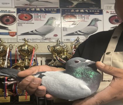 16.�������ܴ��������340