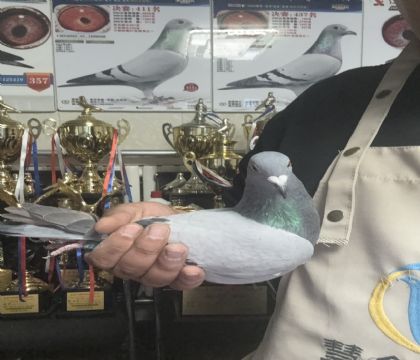 17.�������ܴ��������357