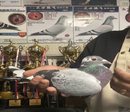 18.�����ָ�114