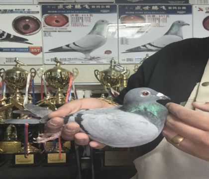 19.�����ָ�707