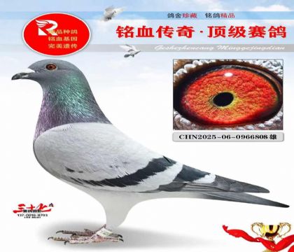 �ھ��š��ҹ������ٶ����