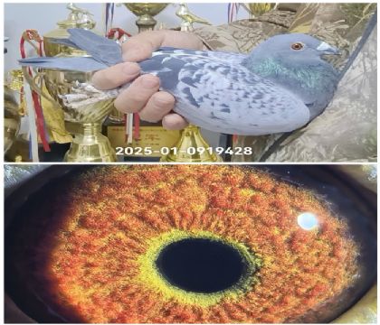 19000��������Ǿ�ֱ��