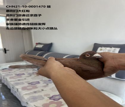 Ľ���ŵ��۴Դ����