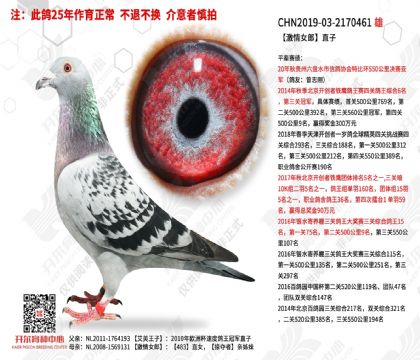 ����Ů��ֱ��