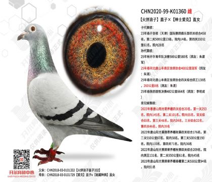 ��ƴ����ֱ�ӡ���ʿ����ֱŮ