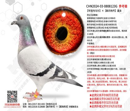 �������������������ֱŮ