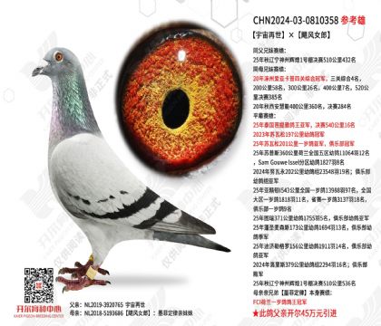 ����������쫷�Ů��