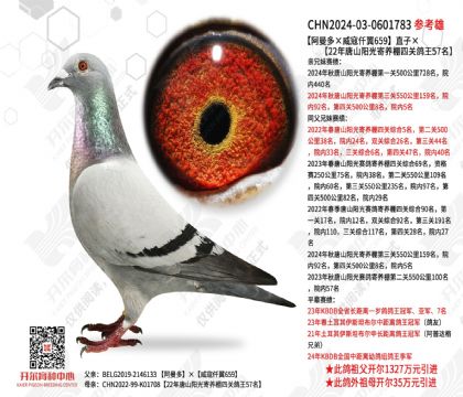 �������������Ǫ��659��ֱ�ӡ���ɽ����������Ĺظ���57��