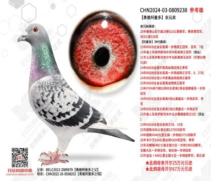 �¸Ұ��������ֵ�