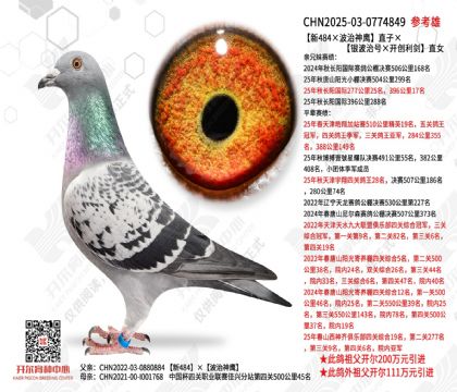 ����484��������ӥ��ֱ�ӡ��������κš�����������ֱŮ