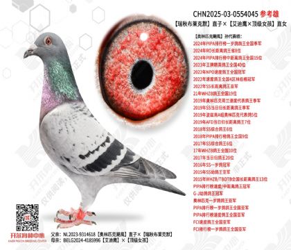 ���ﲼ����Ĭֱ�ӡ�������ӥ������Ů����ֱŮ