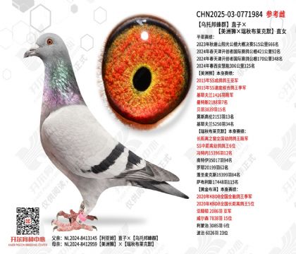 ���а��Ⱥֱ�ӡ�������ʨ�����ﲼ����Ĭ��ֱŮ