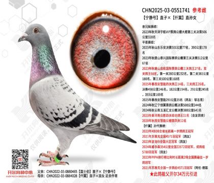 ������ֱ�ӡ�Ǫ��ֱ��Ů