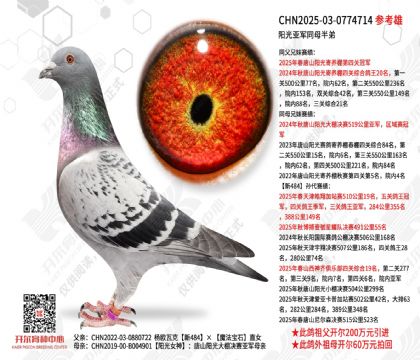 �����Ǿ�ͬĸ���