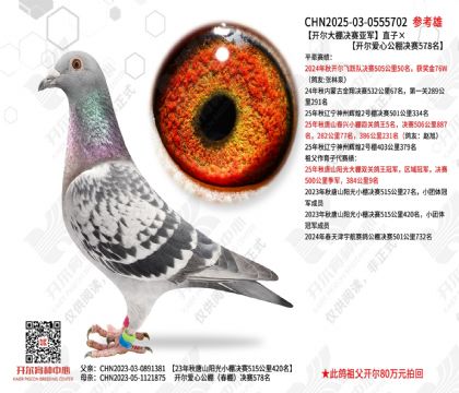 ������������Ǿ�ֱ�ӡ��������Ĺ������578��