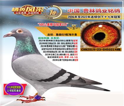 ��㣺500����ھ�