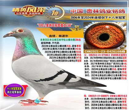 ĸ��500����ھ�ֱŮ