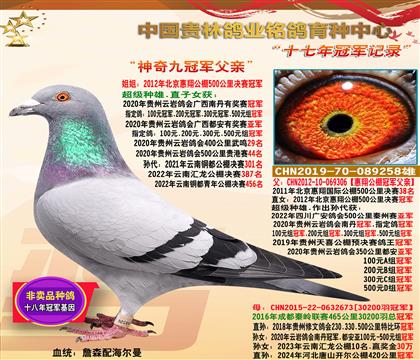 ��������Źھ�����