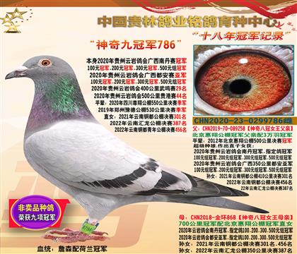 ȫ�㣺����Źھ�